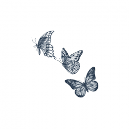 Tatouage éphémère "Envolée...