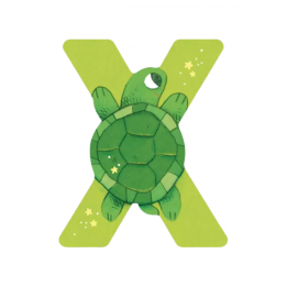 Lettre en bois "X" vert