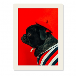 Cadre photo "Gris pale" -...