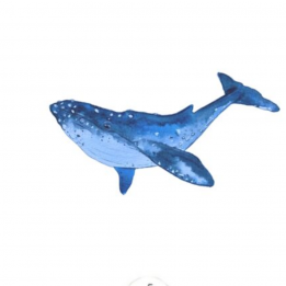 Tatouage éphémère "Baleine...