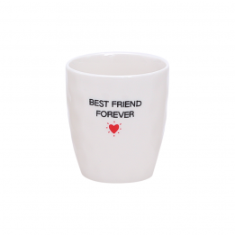 Gobelet "Best friend forever"