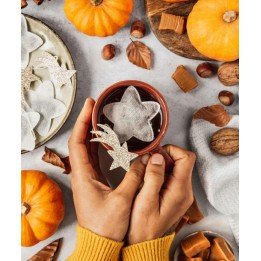 Sachets de rooïbos cinnamon...