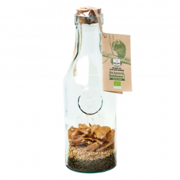 Mélange bio pour réaliser...