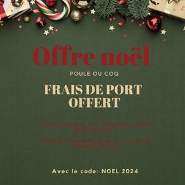 🎄✨ Noël approche à grands pas, et Poule ou Coq vous gâte ! 
Profitez des frais de port offerts dès 50€ d’achats (via Mondial Relay) pour vos commandes de cadeaux et déco, parfaits pour illuminer les fêtes. 

Offre valable jusqu’au 1er décembre 2024, hors promos.
💡 Code à utiliser : NOEL 2024

Faites vite, c’est le moment de chiller stylé ! 🌟